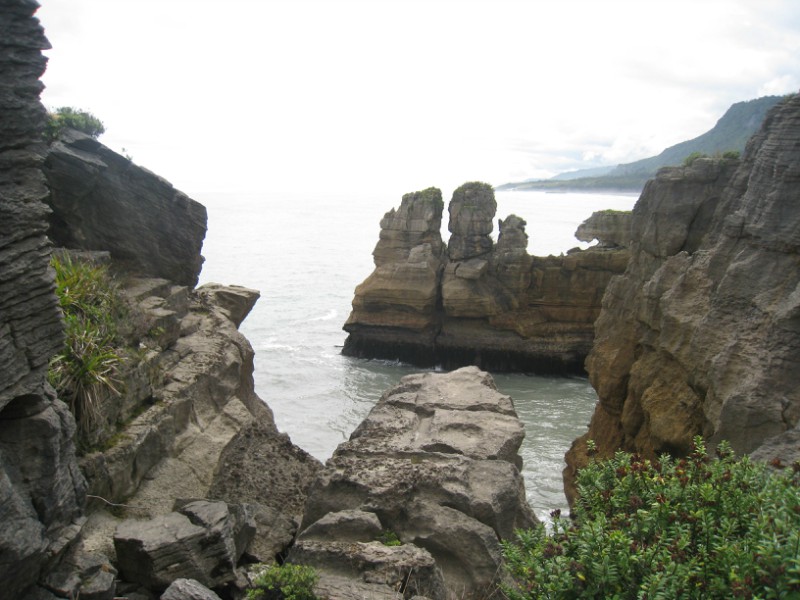 新西兰 - 西海岸 - 薄饼岩